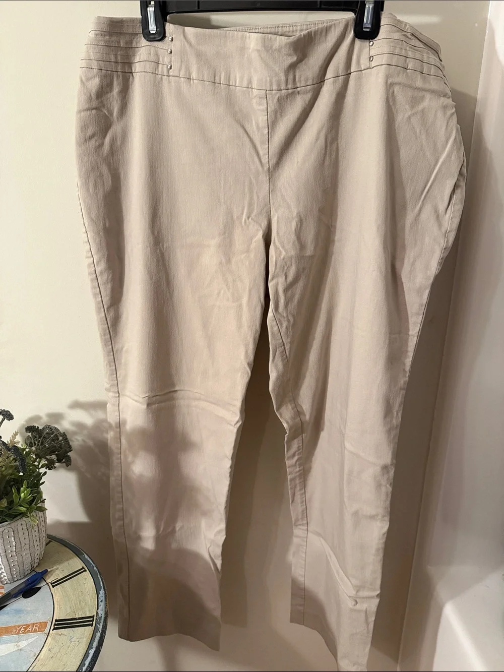 JM Collection Light Beige Straight-Leg Pull-On Pants 20W plenty of stretch